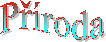 Proda